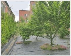  2025Ÿ��31139 ���� ���ֽ� ������ ���ĵ�1�� 15-1      ����(����)���