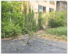  2025Ÿ��31139 ���� ���ֽ� ������ ���ĵ�1�� 15-1      ����(����)���