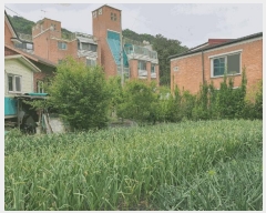  2025Ÿ��31139 ���� ���ֽ� ������ ���ĵ�1�� 15-1      ����(����)���