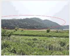  2025Ÿ��31228  �Ӿ߰��