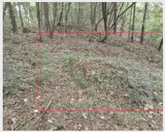  2025Ÿ��31228  �Ӿ߰��