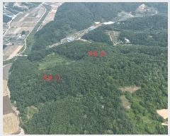  2025Ÿ��31228  �Ӿ߰��