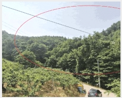  2025Ÿ��31228  �Ӿ߰��