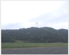  2025Ÿ��31228  �Ӿ߰��