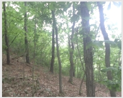  2025Ÿ��31228  �Ӿ߰��