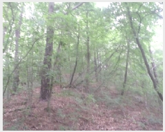  2025Ÿ��31228  �Ӿ߰��