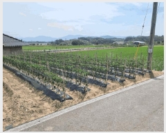  2025Ÿ31275  ӽǱ   28      (1)