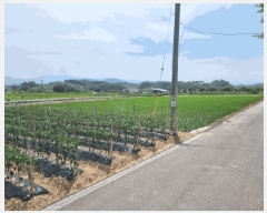  2025Ÿ31275  ӽǱ   28      (1)