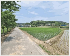  2025Ÿ31275  ӽǱ   28      (1)