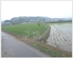  2025Ÿ31275  ӽǱ   28      (1)