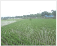  2025Ÿ31275  ӽǱ   28      (1)