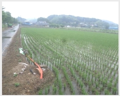  2025Ÿ31275  ӽǱ   28      (1)