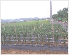  2025Ÿ31275  ӽǱ   28      (1)