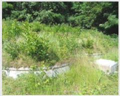  2025Ÿ��31285  �Ӿ߰��