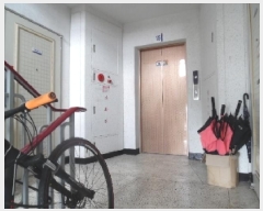  2025Ÿ31358  ֽ  Ƶ2 887 ߷ԵƮ 106 15 1502ȣ  Ʈ