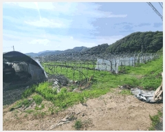  2025Ÿ31366  ֱ   159      ()