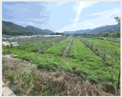  2025Ÿ31366  ֱ   159      ()