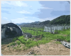  2025Ÿ31366  ֱ   159      ()