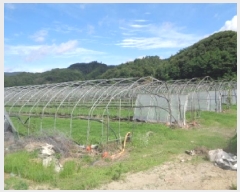  2025Ÿ31366  ֱ   159      ()