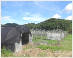  2025Ÿ31366  ֱ   159      ()