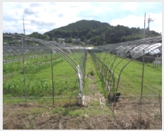  2025Ÿ31366  ֱ   159      ()