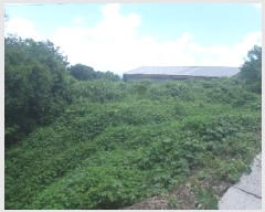  2025Ÿ��31449  �����