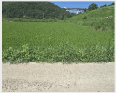  2025Ÿ31449  ӽǱ  д 290-1      ()