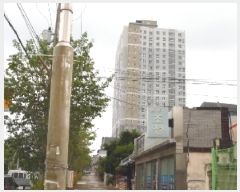  2025Ÿ31460   ǳ 167-65 þ101 19 1901ȣ    Ʈ