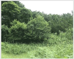  2025Ÿ��31535 ���� ���ȱ� ������ ��긮 ��182      ����(�Ӿ�)���