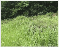  2025Ÿ��31535 ���� ���ȱ� ������ ��긮 ��182      ����(�Ӿ�)���