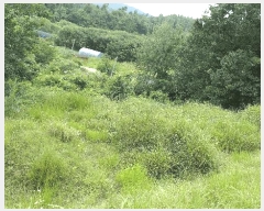  2025Ÿ��31535 ���� ���ȱ� ������ ��긮 ��182      ����(�Ӿ�)���