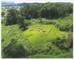  2025Ÿ��31586 ���� ���ֱ� ������ ���︮ 490-1      ����(�Ӿ�)���