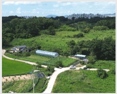  2025Ÿ��31586 ���� ���ֱ� ������ ���︮ 490-1      ����(�Ӿ�)���