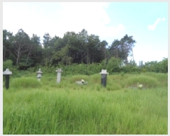  2025Ÿ��31586 ���� ���ֱ� ������ ���︮ 490-1      ����(�Ӿ�)���