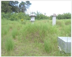  2025Ÿ��31586 ���� ���ֱ� ������ ���︮ 490-1      ����(�Ӿ�)���