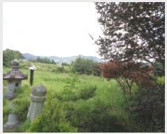  2025Ÿ��31586 ���� ���ֱ� ������ ���︮ 490-1      ����(�Ӿ�)���