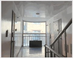  2025Ÿ��31690 ���� ���ֽ� ������ ���ĵ�1�� 876-9 3�� 302ȣ    �ټ���,������