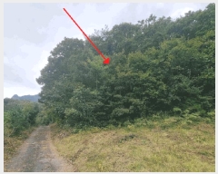  2025Ÿ��31721  �Ӿ߰��