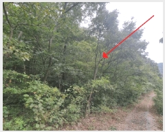  2025Ÿ��31721  �Ӿ߰��