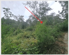  2025Ÿ��31721  �Ӿ߰��