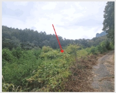  2025Ÿ��31721  �Ӿ߰��