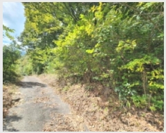  2025Ÿ��31721  �Ӿ߰��