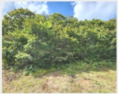  2025Ÿ��31721  �Ӿ߰��