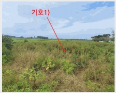  2025Ÿ��31741 ���� ������ ������ 628-2       ����(��1)���