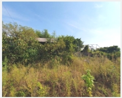  2025Ÿ��31741 ���� ������ ������ 628-2       ����(��1)���