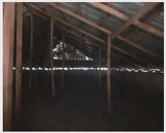  2025Ÿ��31768 ���� ���ֽ� ������ �ݾϵ� 700-14      ���ð��