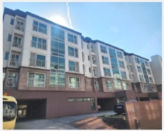  2025Ÿ��31846  �ټ���(����)���