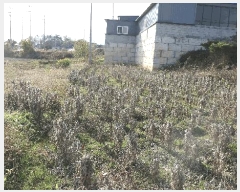  2025Ÿ��31874 ���� ������ ��ǳ�� 524-10       ����(��)���