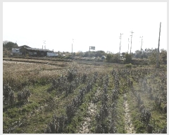  2025Ÿ��31874 ���� ������ ��ǳ�� 524-10       ����(��)���