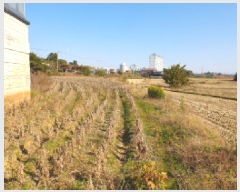  2025Ÿ��31874 ���� ������ ��ǳ�� 524-10       ����(��)���